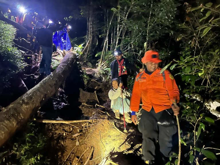Tim SAR Evakuasi Ibu dan Anak yang Tersesat di Gunung Batukaru