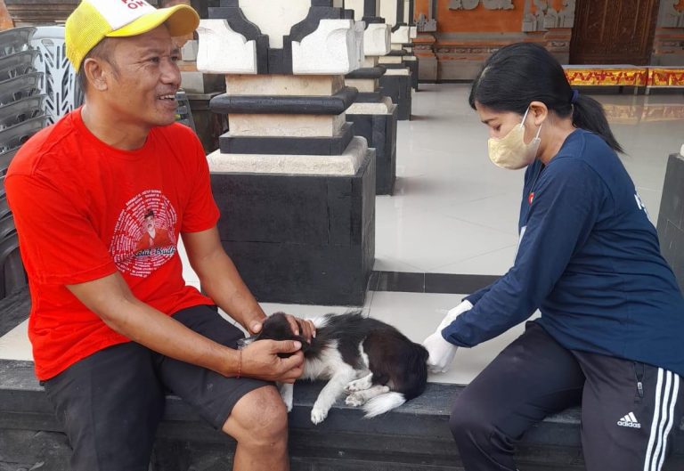 57.350 Hewan Tervaksin, Denpasar Gencarkan Pencegahan Rabies