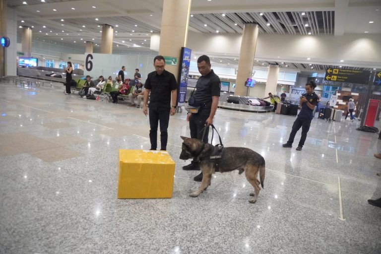 API Hapus Pemeriksaan Penumpang di Pintu Masuk Internasional Bandara Ngurah Rai