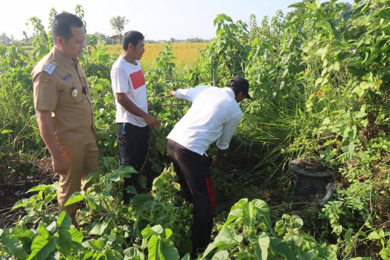 Bupati Jembrana Sidak Sumur Bor