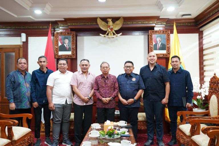 Gubernur Bali Ajak Karang Taruna Sinergi dengan STT