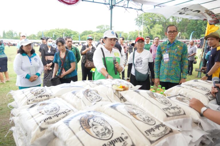 Pasar Rakyat PKK Bali Sediakan Stan Gratis bagi 138 UMKM