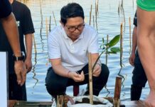 Bupati Adi Arnawa Dukung Penanaman Mangrove dan Pelepasliaran Burung