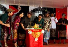 Rayakan HUT ke-13, CIS Bali Transformasi Menjadi Pusat Pendidikan Digital
