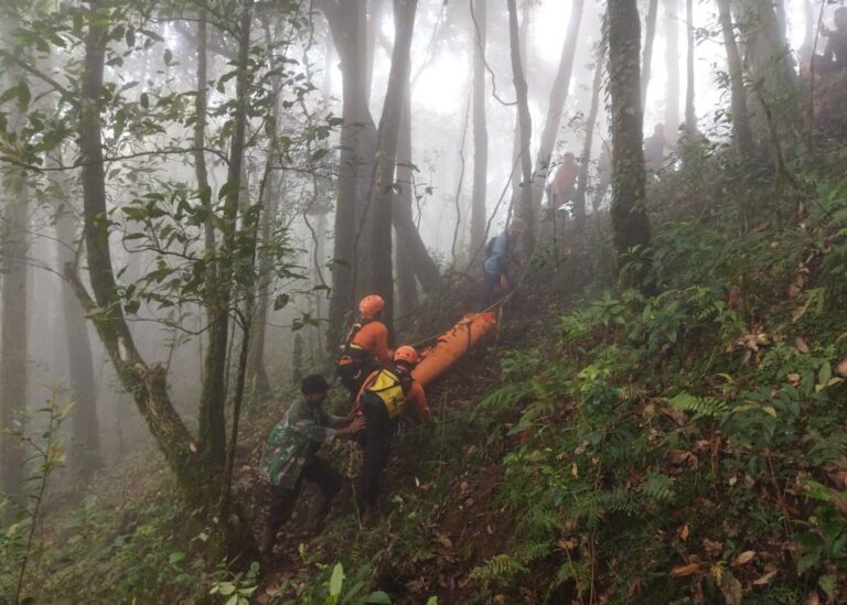Pendaki Hilang di Gunung Batukaru Ditemukan di Jurang Sedalam 90 Meter