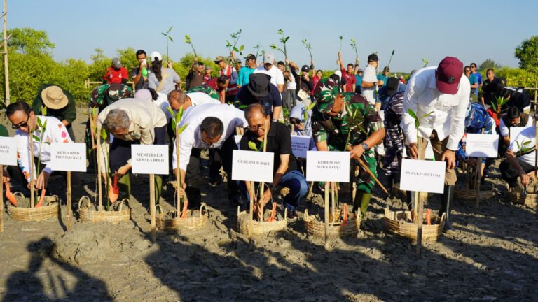 Menteri LH dan Gubernur Koster Tanam Mangrove, Perkuat Komitmen Bali Hadapi Perubahan Iklim