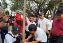 Canggu Makin Padat, Bupati Badung Turun Tangan Tanam Pohon dan Benahi Utilitas